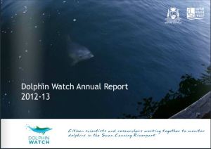 Click here to view the Dolphin Watch Annual Report 2012-13
