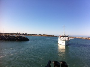 Heading out from Dongara for another day of whale research!